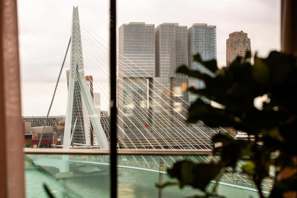 Citytrip in King Superior kamer bij Haven Hotel Rotterdam, incl. entree Kunsthal, ontbijt en wellness