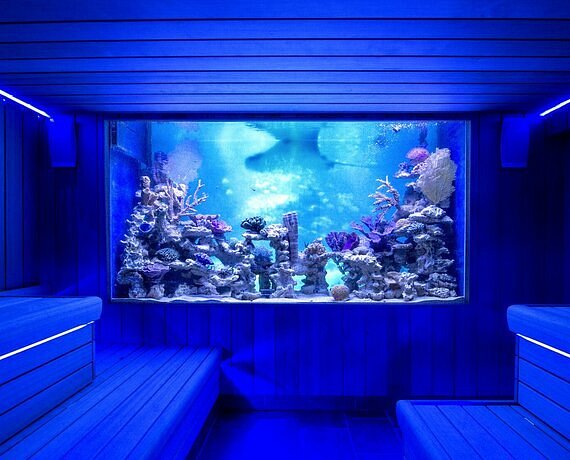 Beauty-Wellness-Sauna-de-Heuvelrug-06